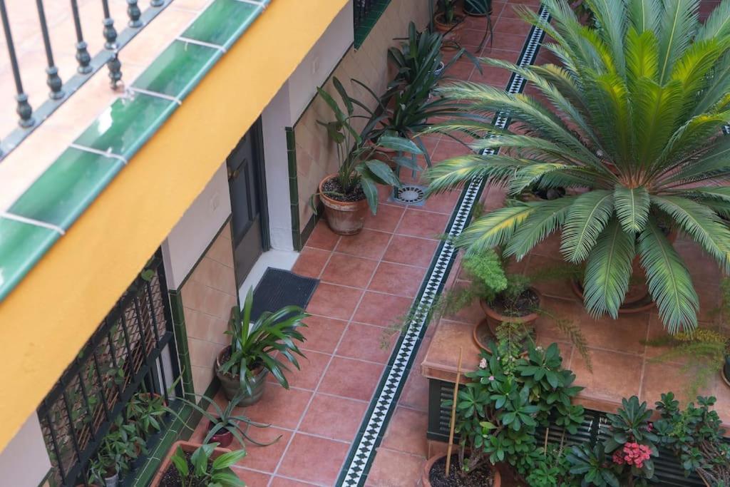 Apartamento Junto A Las Setas De Sevilla Exteriör bild